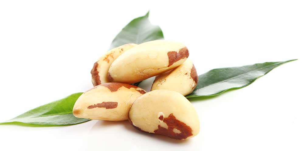 آجیل برزیلی