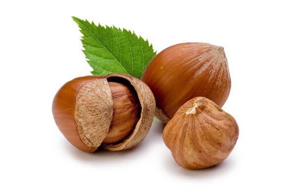 فندق خوشمزه و دارای پروتئین
