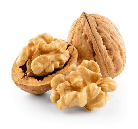 گردو منبع پروتئین و امگا3