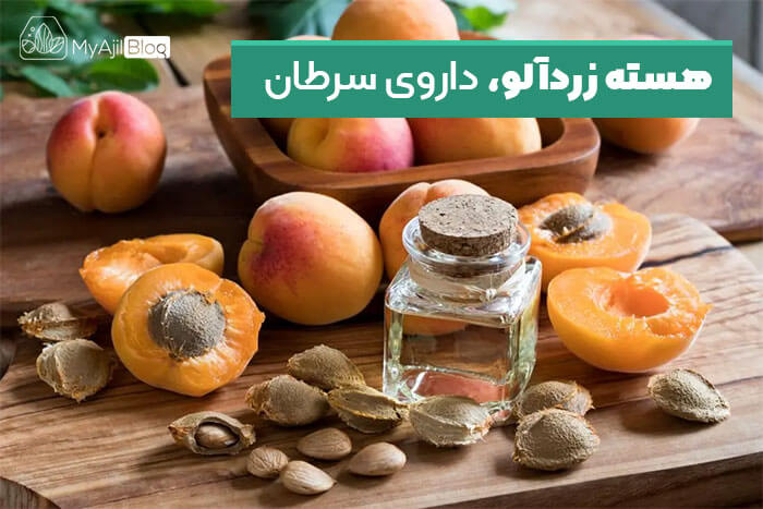 فواید هسته زردآلو