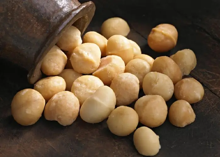 ماکادمیا