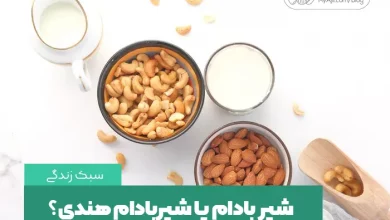 شیر بادام یا شیر بادام هندی