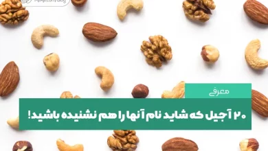20 آجیل عجیب
