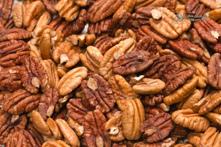 معرفی پکان