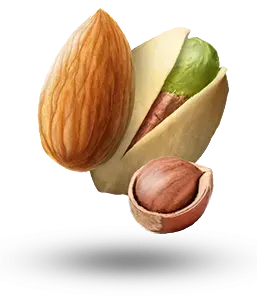 بادام، پسته و فندق
