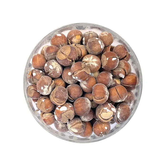 فندق شور