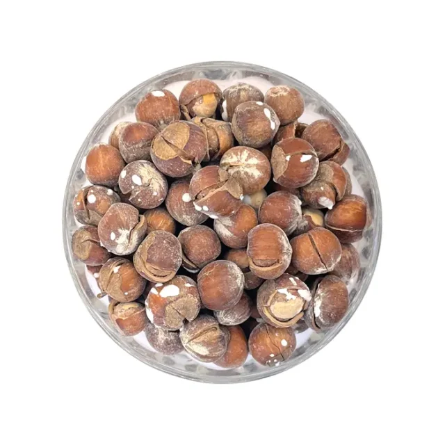 فندق شور