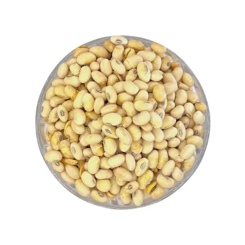 سویا آجیلی