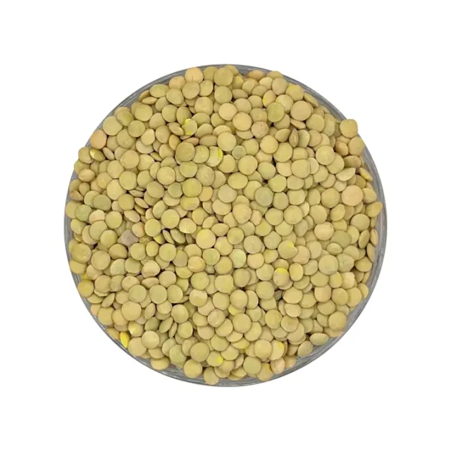 عدس