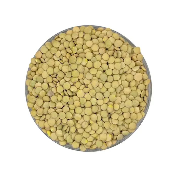 عدس